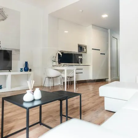 Apartment Spacious By Picasso Museum By Rems *